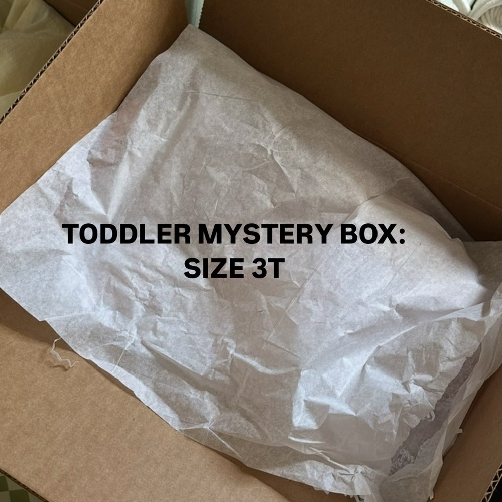 Toddler Mystery Box - Size 3T